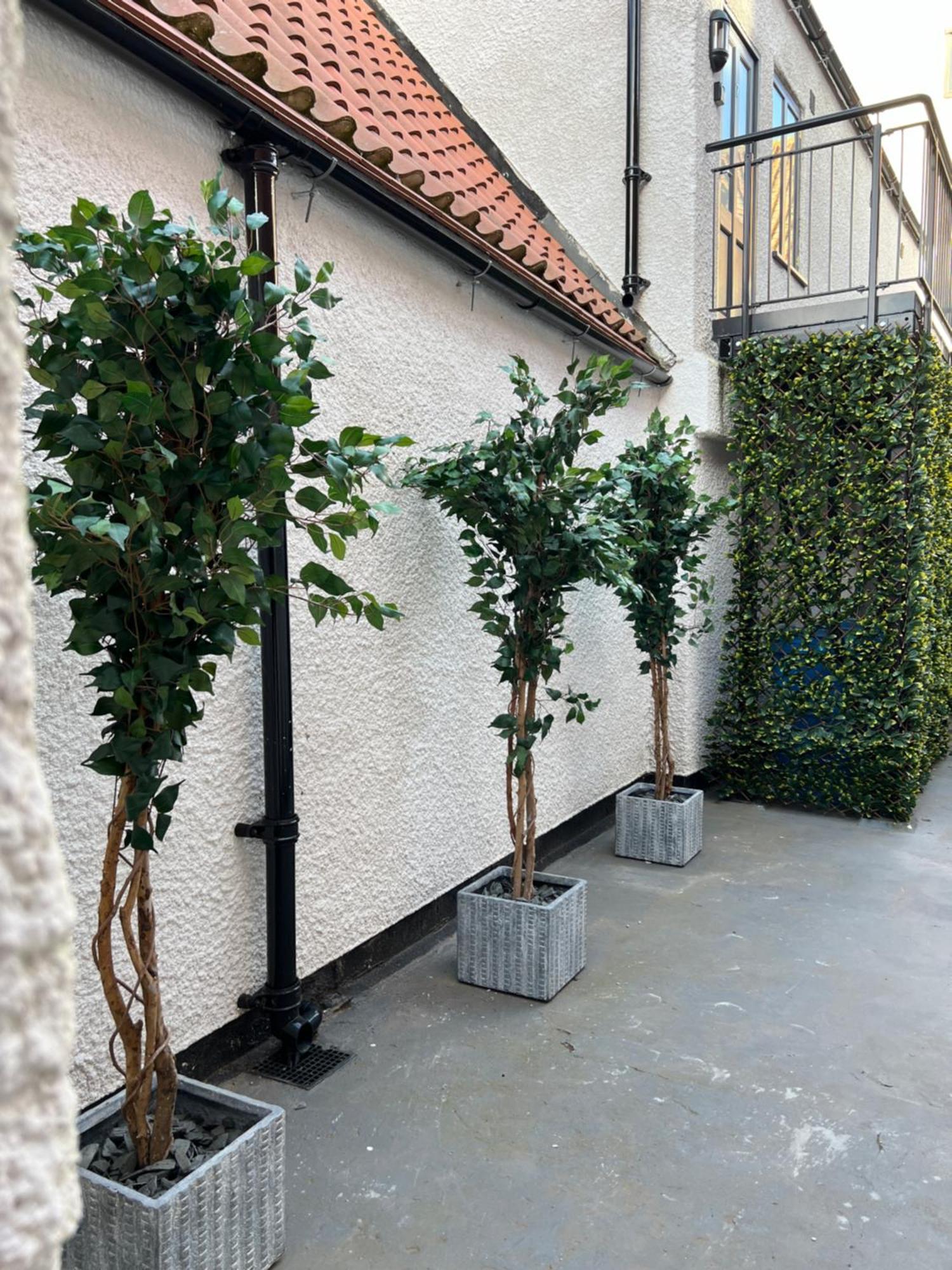 Apartment 9 Plants Yard *